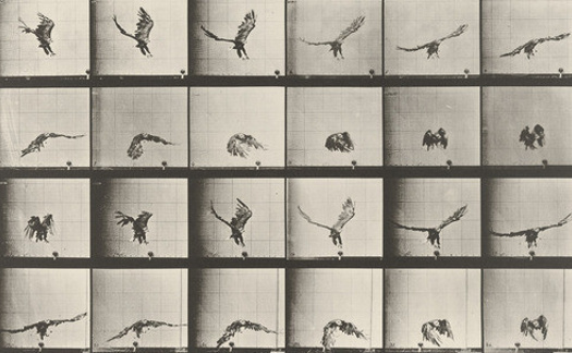 1333919926_cri200978.jpg 1333919926_cri200978.jpg