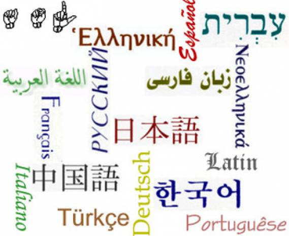 Bilim adamları zeki olmanın yollarını açıkladı - Resim: 10