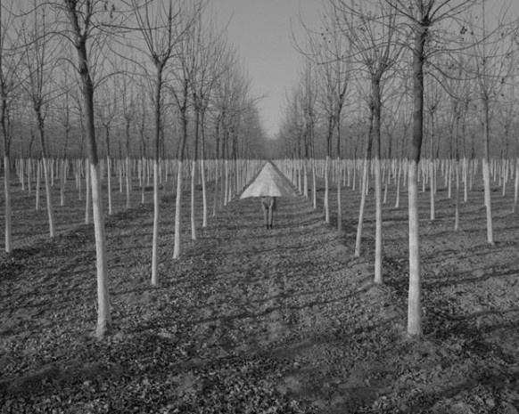 Kategorilerine göre 2017 Sony fotoğrafları - Resim: 24