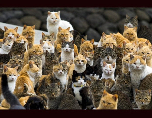 Reuters'ın en beğenilen Instagram fotoğrafları arasında Türkiye'den de bir kare var - Resim: 2