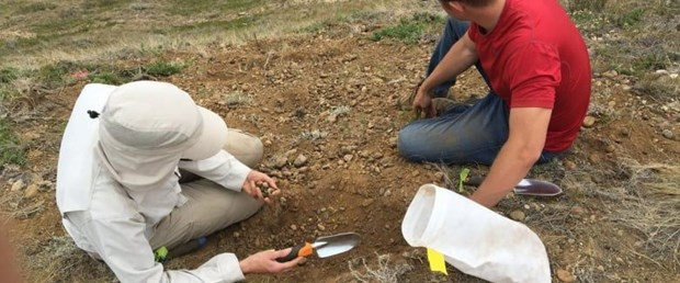 23 milyon yıllık fosil bulundu! - Resim : 1