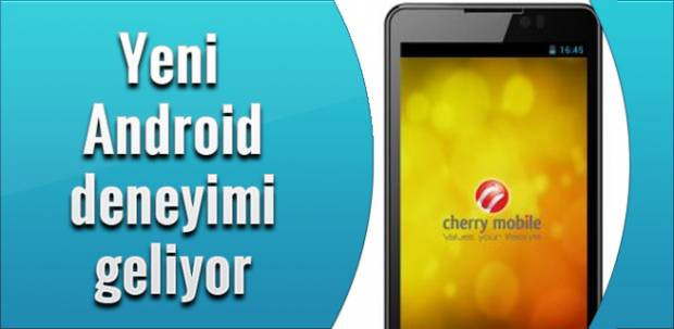 Günün Manşet Haberleri-13Şubat - Resim: 9