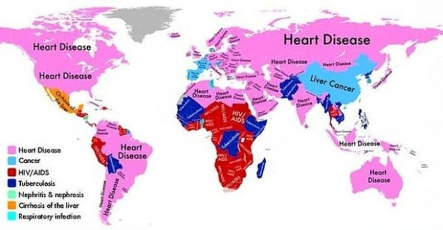 Hangi ülke insanı en çok hangi hastalıktan ölüyor? - Resim: 14