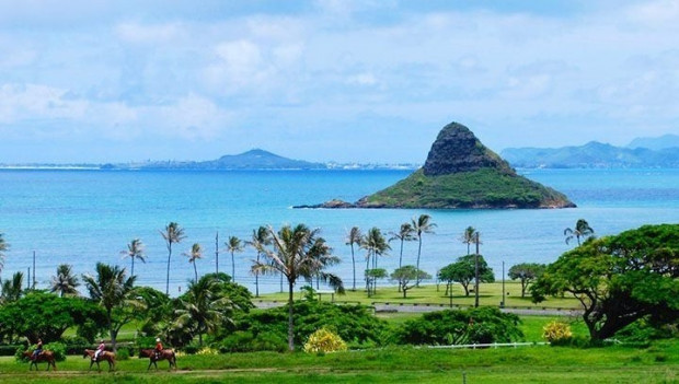 İşte dünyanın en tuhaf bilgileri-2 - Resim: 11