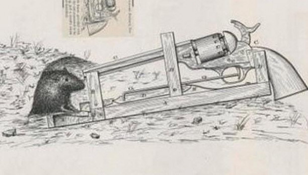 Dünyanın en tuhaf ve garipleri - Resim: 15