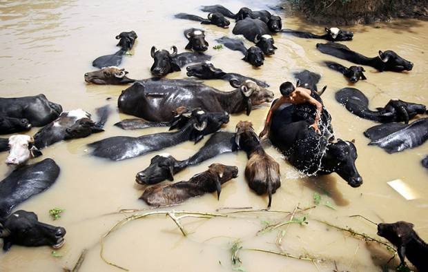 Dünyadan günün en etkileyici fotoğrafları! 17 Mayıs - Resim: 6