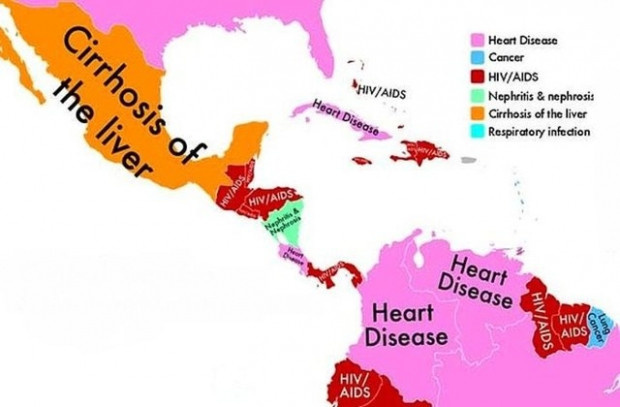 Hangi ülke insanı en çok hangi hastalıktan ölüyor? - Resim: 6