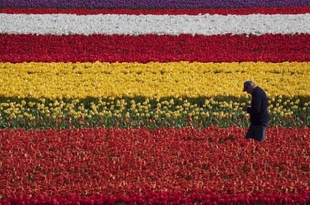 Birleşmiş Milletler raporlarına göre dünyanın en mutlu 24 halkı - Resim: 18