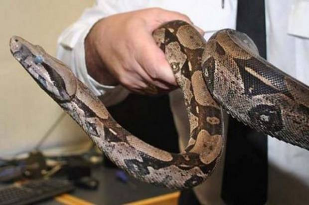 Şaşırtan bilimsel ipuçları-1 - Resim: 5