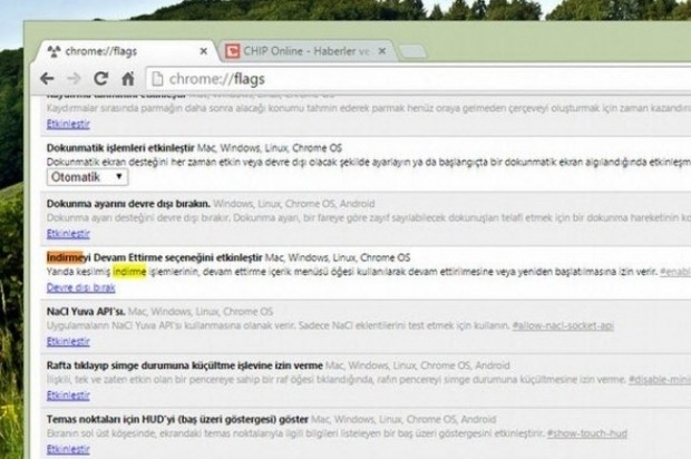 Dikkat edilmesi gereken Chrome özelliği - Resim: 3