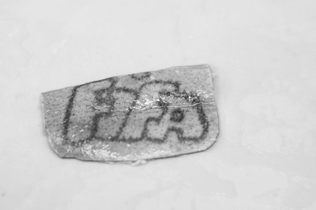 Kategorilerine göre 2017 Sony fotoğrafları - Resim: 5