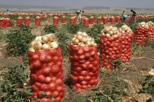 Konyalı iki liselinin Tıp Dünyası'nı şaşırtan buluşu - Resim: 6