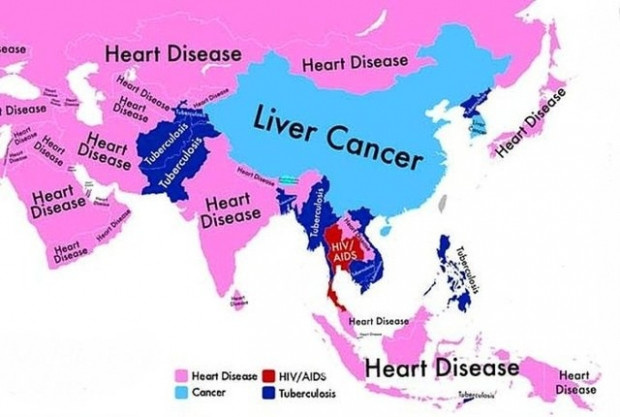 Hangi ülke insanı en çok hangi hastalıktan ölüyor? - Resim: 12