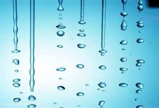 İşte dünyanın en tuhaf bilgileri-2 - Resim: 23