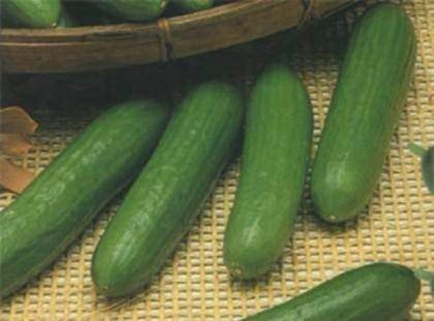 İşte dünyanın en tuhaf bilgileri-2 - Resim: 18