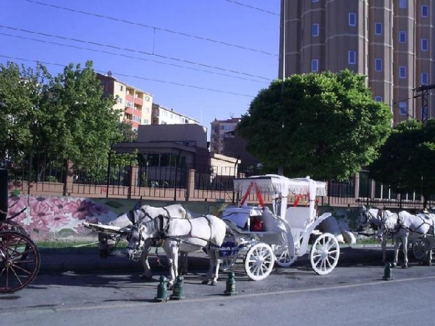 Dünden bugüne en güzel lar - Resim: 23