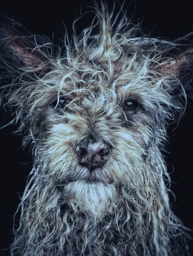 iPhone Fotoğraf Ödülleri'ne Türk damgası! - Resim : 9