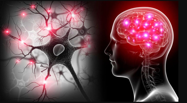 Yapay Zeka, Disleksi ve Otizm’in Erken Tanısında Yüzde 98'e Varan Doğruluk Sağladı - Resim : 1
