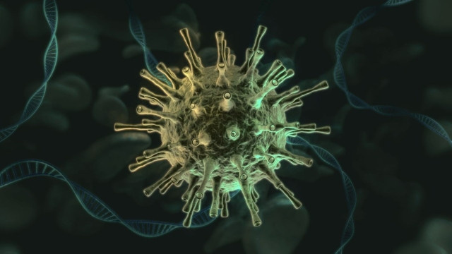 Kara Veba Çin'de yeniden hortladı! Yetkililer alarma geçti! - Resim : 1