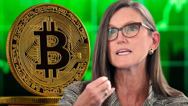Bitcoin'de boğa döngüsü bitti mi? Ünlü milyarder yatırımcı açıkladı - Resim : 1
