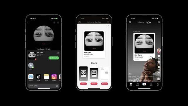 Spotify ve Apple Music'e TikTok'ta paylaş özelliği geldi, işte şimdi yandık - Resim : 1