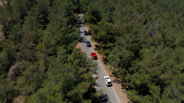 Hyundai, IONIQ Ormanı projesi ile 1 milyon ağaç dikti - Resim : 1