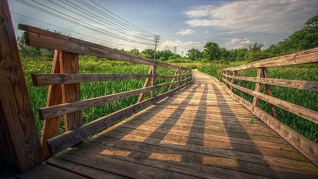 Telefon ile harika fotoğraflar çekmek işte bu kadar basit! - Resim : 2