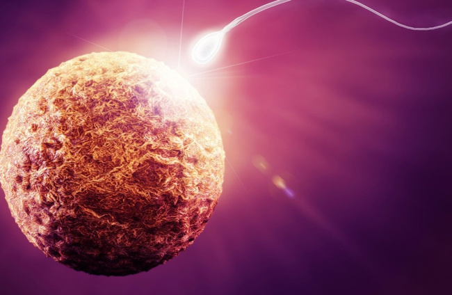 Vücudumuzun yarısı bize ait değil! - Resim : 1