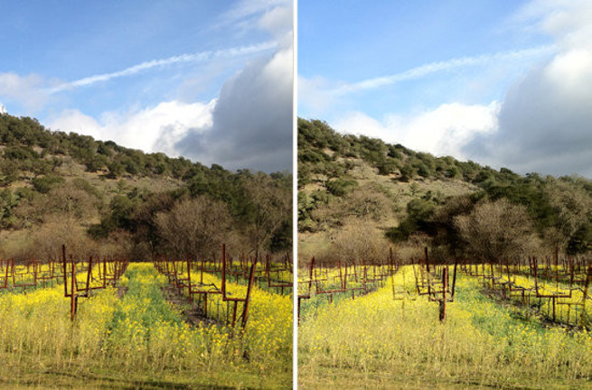 iPhone Xs ve Xs Max kullanıcıları yaşadı! - Resim : 1