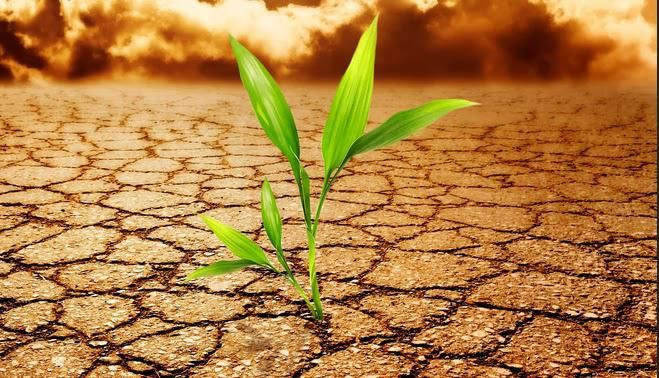 Nostradamus'un 2018 kehanetleri - Resim: 6