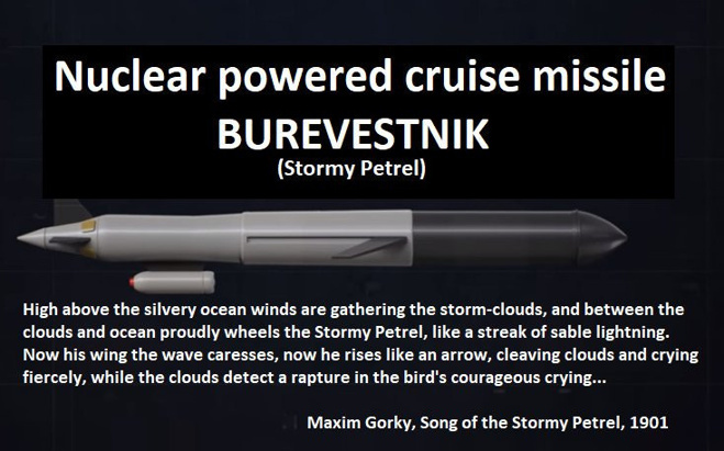 Burevestnik başarıyla testi geçti! - Resim : 1