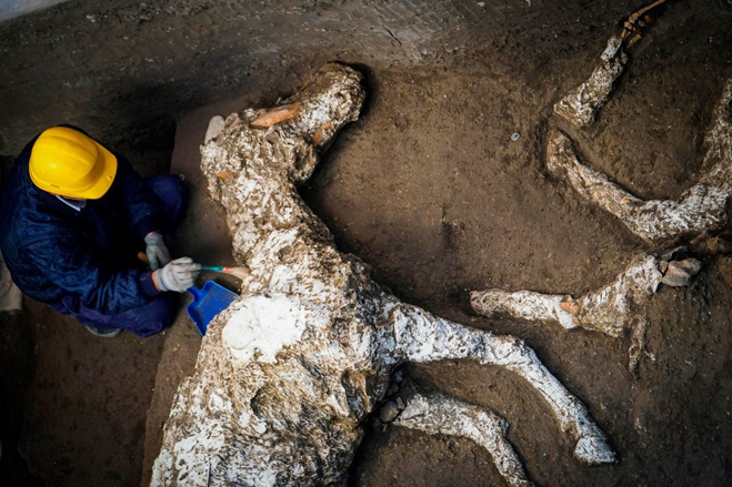 Pompei'de taşlaşmış at kalıntıları bulundu! - Resim : 1