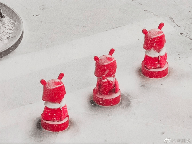 Xiaomi Mi 10 ile çekilen fotoğraflar paylaşıldı - Resim : 2