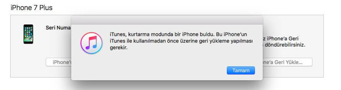 iPhone'da kurtarma moduna nasıl geçilir? - Resim : 2