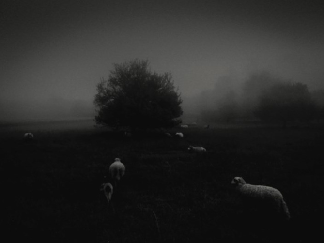 iPhone Fotoğraf Ödülleri'ne Türk damgası! - Resim : 5