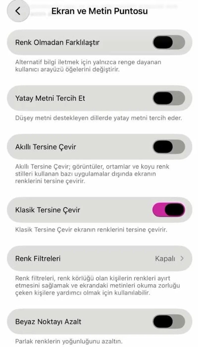 iPhone'daki ilginç kamera ayarı: Pireleri gösteriyor - Resim : 1