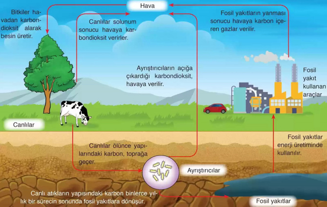 Microsoft'tan karbon ayak izi hamlesi!