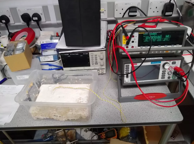 İşte Mantarların hayat verdiği Canlı bilgisayar!