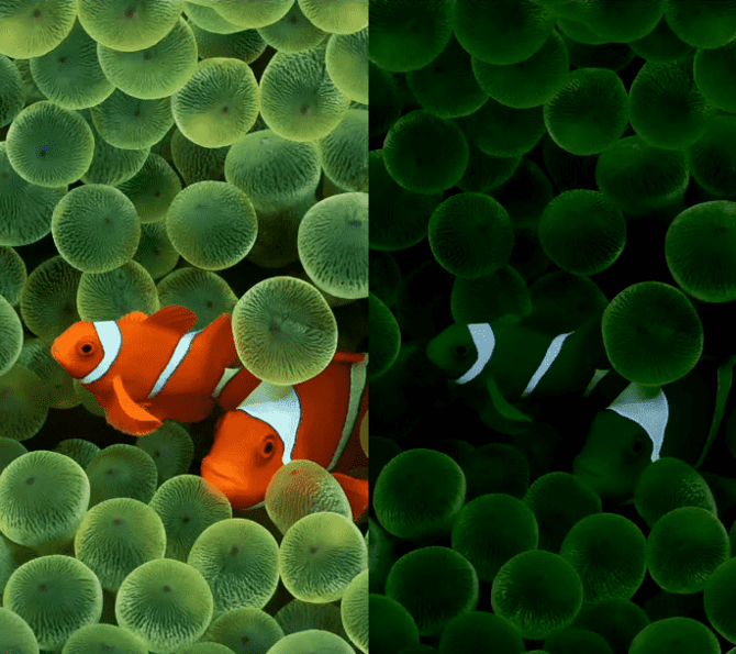 iOS 16 ile gelecek olan her zaman açık ekran özelliği iyi görünüyor!