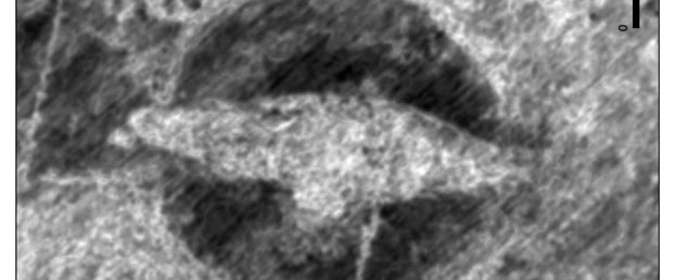 Norveç'te Viking gemisi bulundu! - Resim : 1