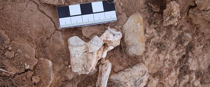 Denizli'de 9 milyon yıl öncesine ait fosiller bulundu! - Resim : 1