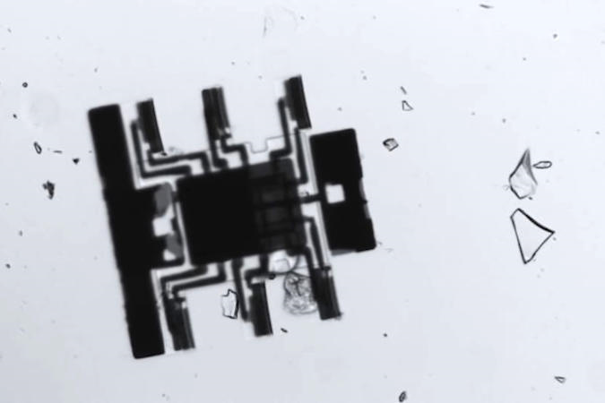 Mikroskobik robotlar, basit 'beyinleri' kullanarak özerk bir şekilde yürüyorlar - Resim : 1