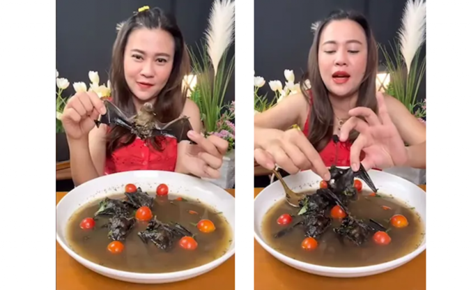 Yarasa yediği videoyu paylaşan YouTuber tutuklandı: İşte o görüntüler! - Resim : 1