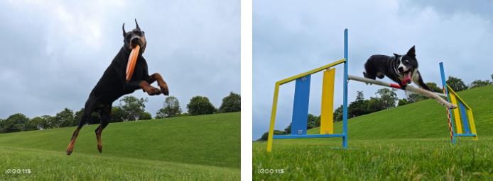 iQOO 11S’in fotoğraf örnekleri, akıllı telefon meraklılarını heyecanlandırdı