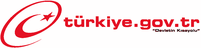 Türkiye.gov.tr neden çöktü? - Resim : 1