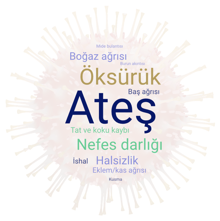 Türk halkı koronavirüs konusunda çok bilinçli! Araştırmalar öyle diyor - Resim : 2