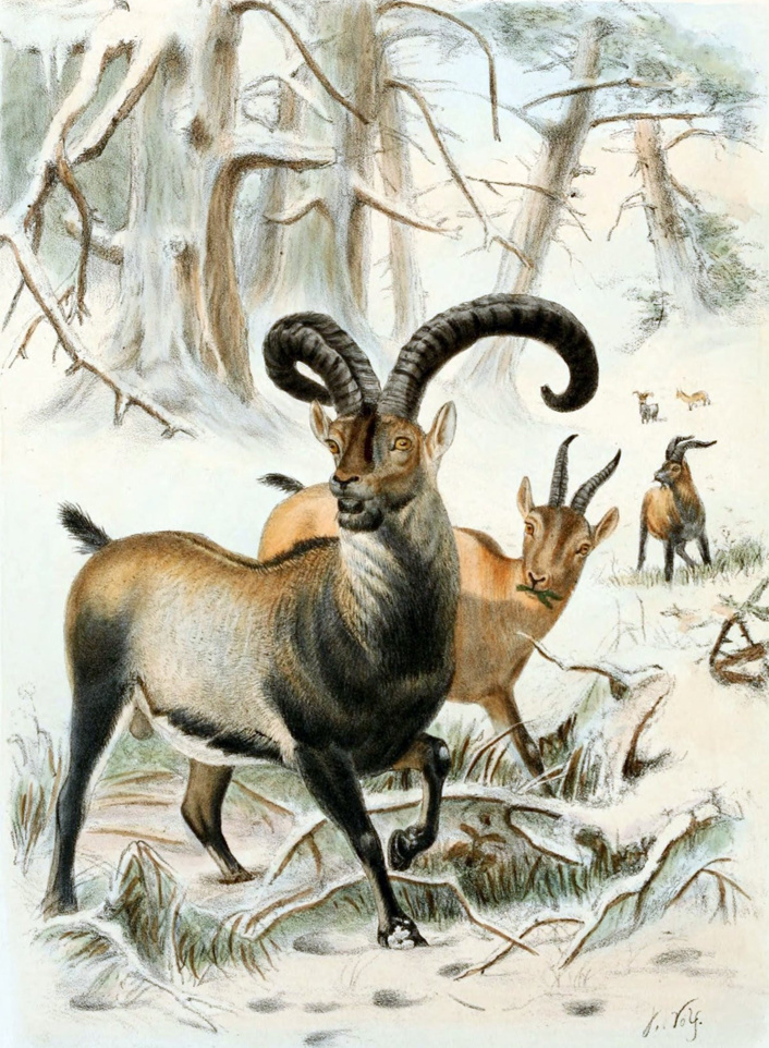 1485030168_14.jpg