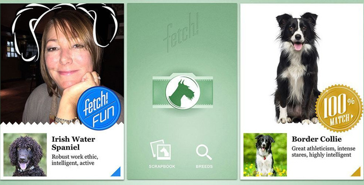 1455310539_microsoft-fetch.jpg 1455310539_microsoft-fetch.jpg