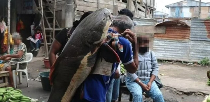 Yeni bir salgın geliyor! Bu kez Peru'dan çıktı - Resim : 1