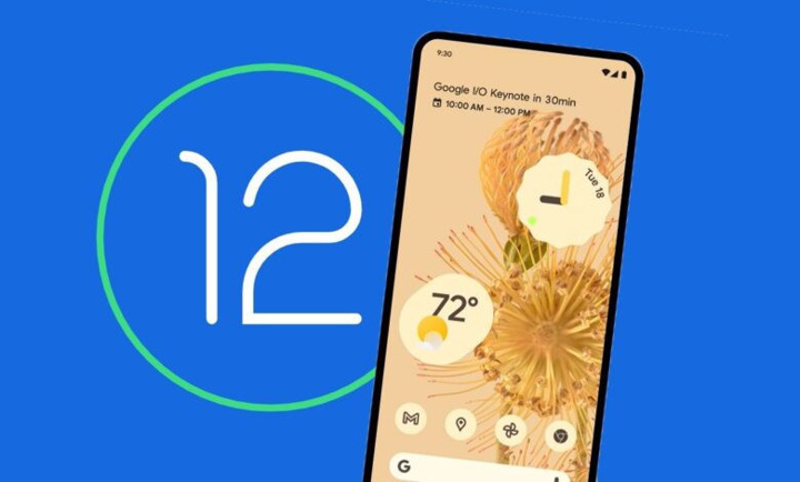 Google Pixel 6 özelliğini bu firmalar da tanıtacak! - Resim : 1